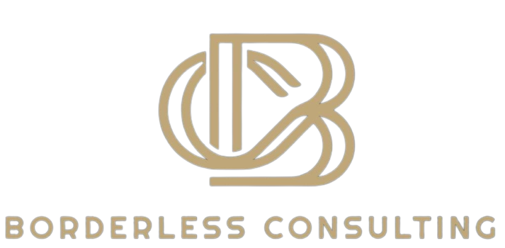 QRcoder Borderless Consulting